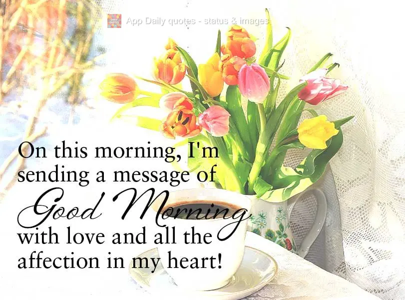 On this morning, I'm sending a message of Good Morning with all love and the affection in my heart!