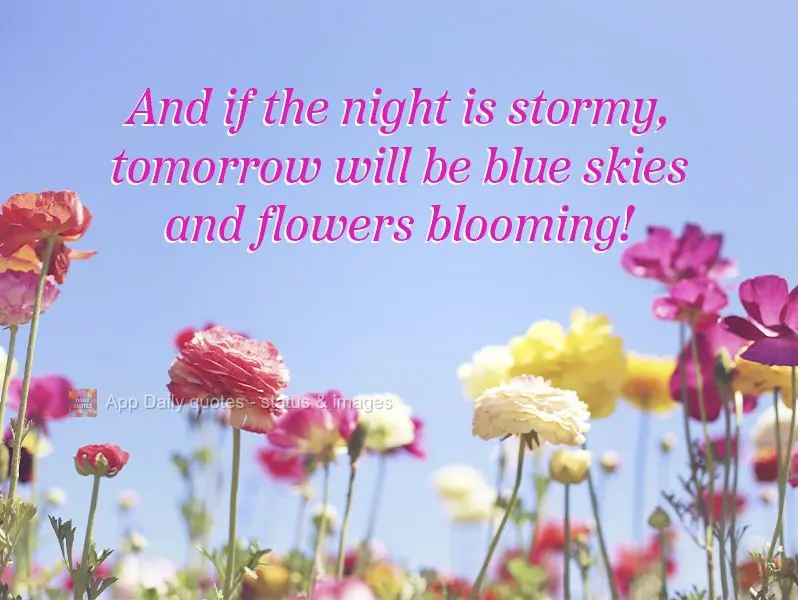 And if the night is stormy, tomorrow there will be blue skies and blooming flowers!