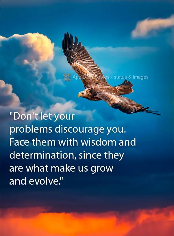 "Don't let your problems discourage you. Face them with wisdom and determination, since they are what make us grow and evolve."