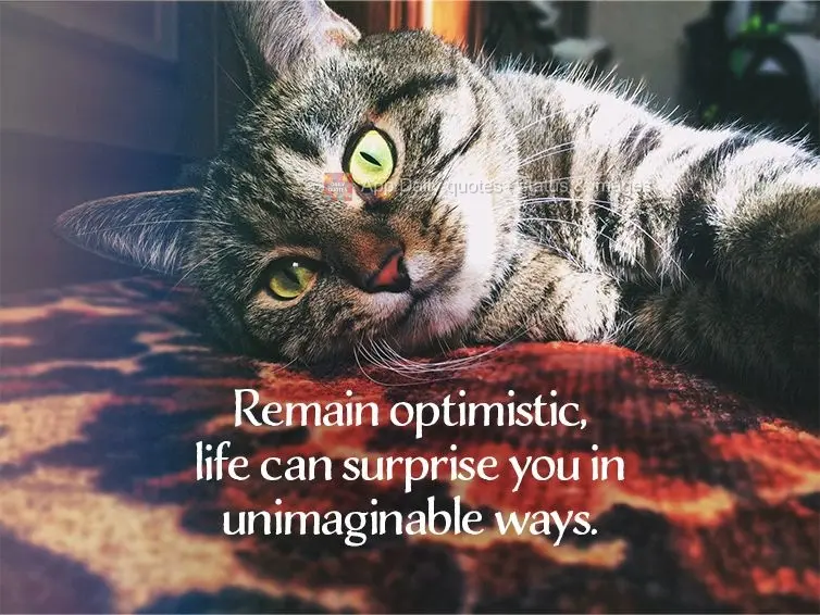 Remain optimistic. Life can surprise you in unimaginable ways.