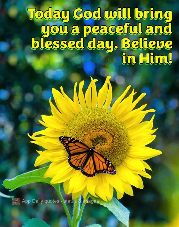 Today God will grant you a peaceful and blessed day. Believe in Him!