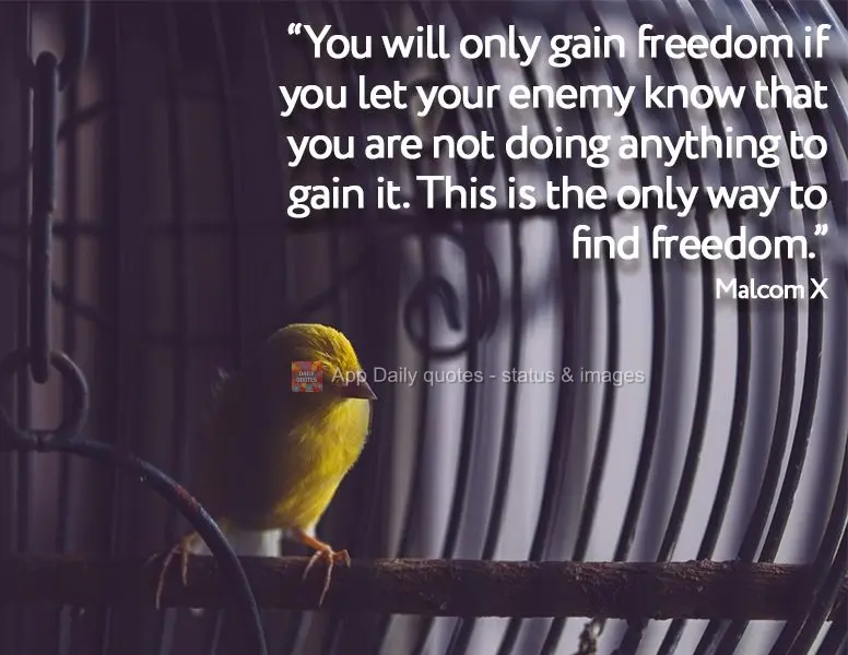 "You will only gain freedom if you let your enemy know that you are not doing anything to gain it. This is the only way to find freedom." Malcom X