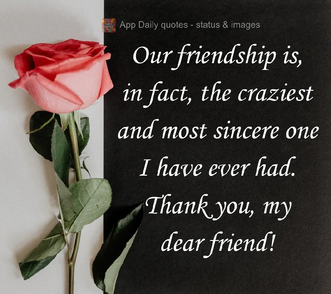 Our friendship is, in fact, the craziest and most sincere one I have ever had. Thank you, my dear friend!