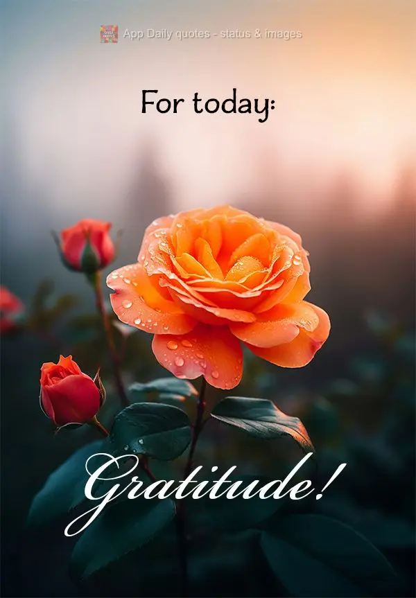 Para o dia de hoje: Gratidão!