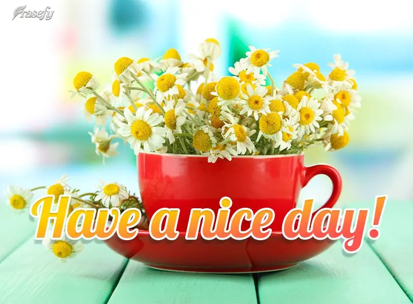 Feliz dia!
