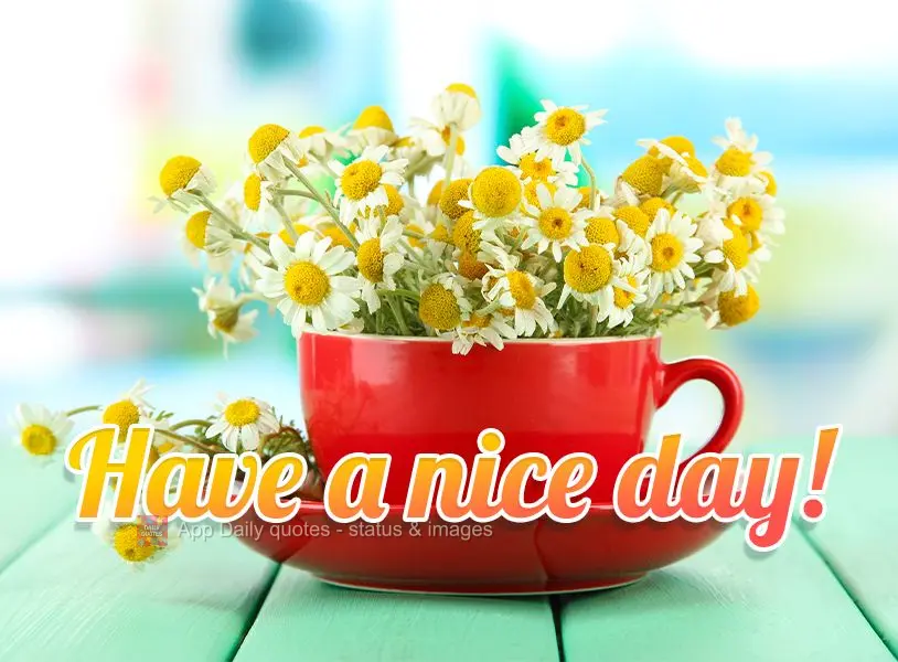 Have a nice day!