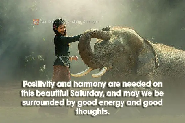 Positivity and harmony are needed on this beautiful Saturday, and may we be surrounded by good energy and good thoughts.