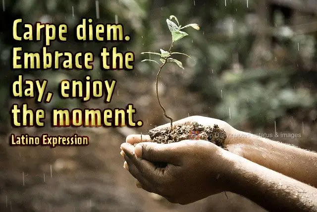 Carpe diem. Embrace the day, enjoy the moment. Latino Expression