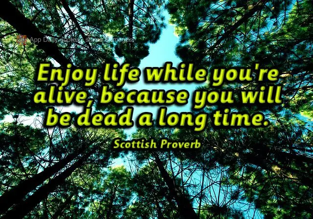 Enjoy life while you're alive, because you will be dead a long time. Scottish Proverb