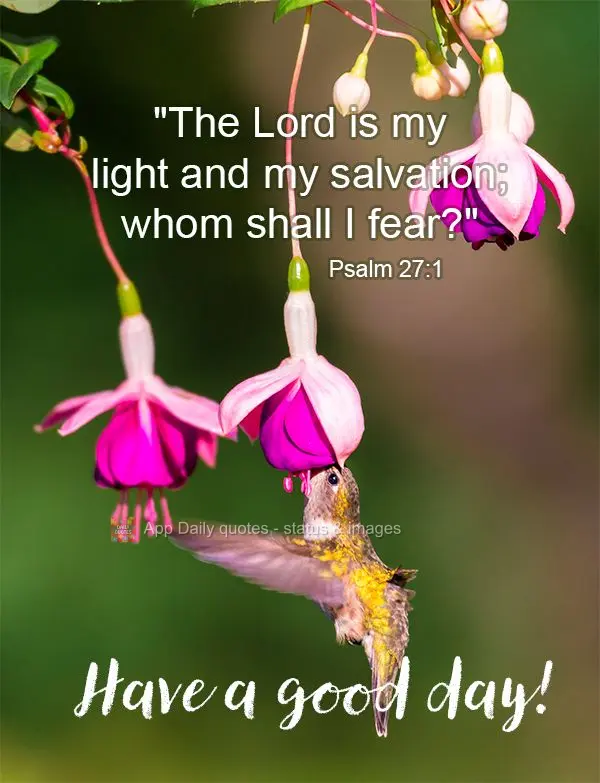 "The Lord is my light and my salvation; whom shall I fear?" Have a good day! Psalm 27:1