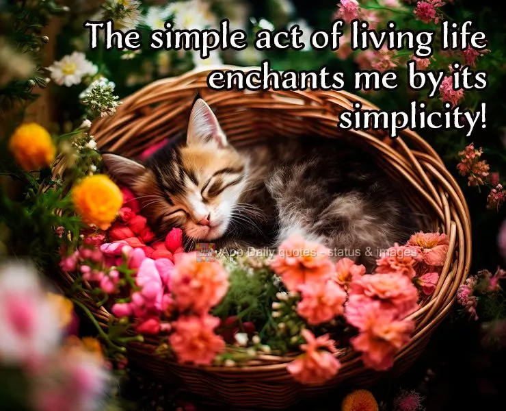 The simple act of living life enchants me by its simplicity!