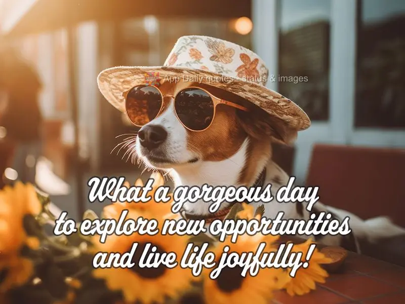 What a gorgeous day to explore new opportunities and live life joyfully!