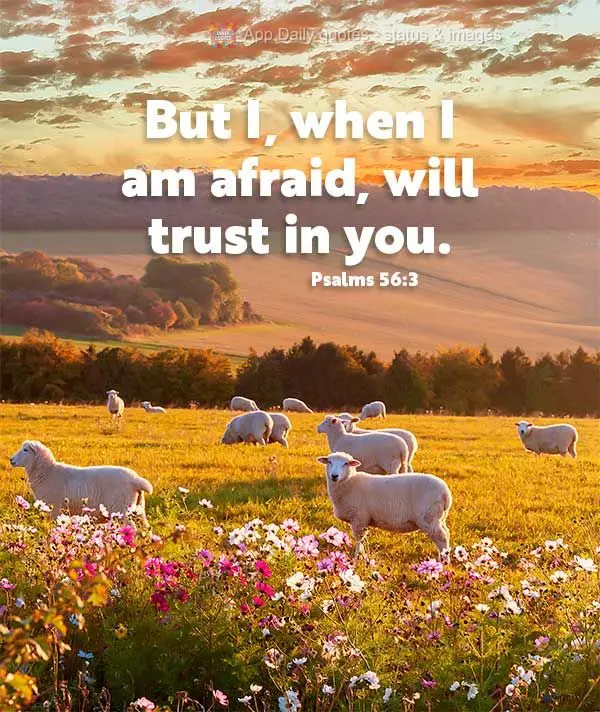 But, when I am afraid, I will trust in you. Psalms 56:3