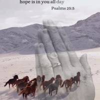 "Guide me in your truth and teach me, for you are God my Savior, and my hope is in you all day long." Psalms 25:5
