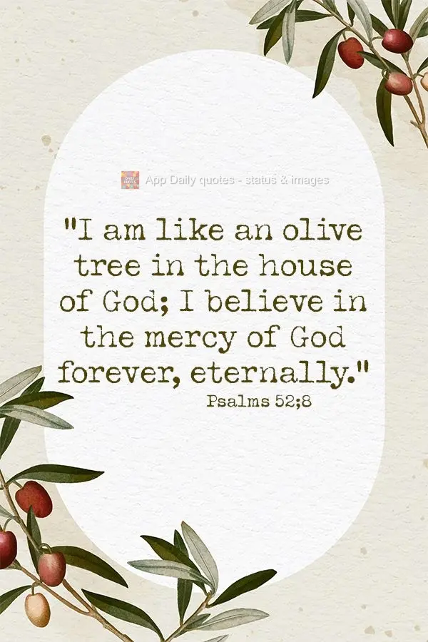 "I am like an olive tree in the house of God; I believe in the mercy of God forever, eternally." Psalms 52:8