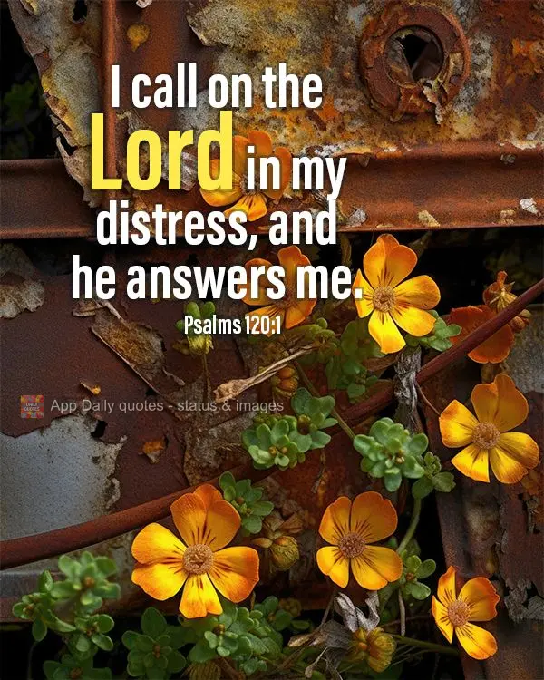 I call on the Lord in my distress, and he answers me. Psalms 120:1