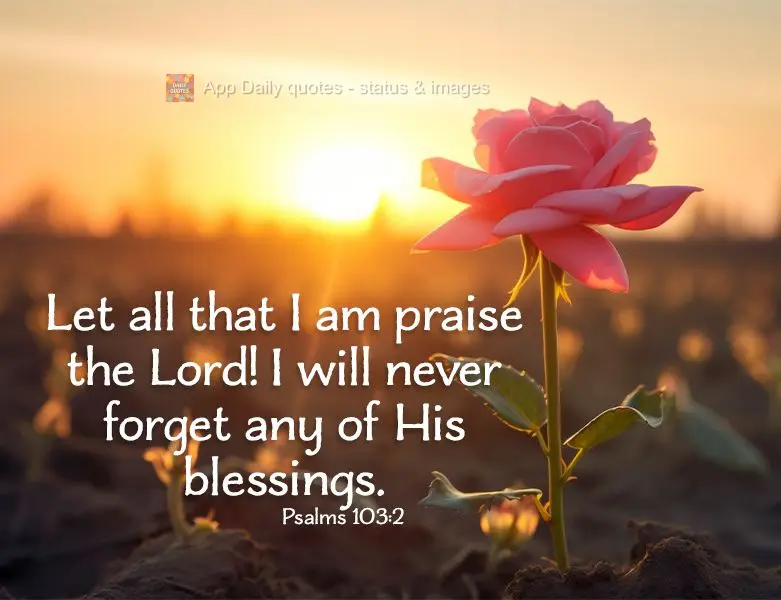 Let all that I am praise the Lord! I will never forget any of His blessings. Psalms 103:2