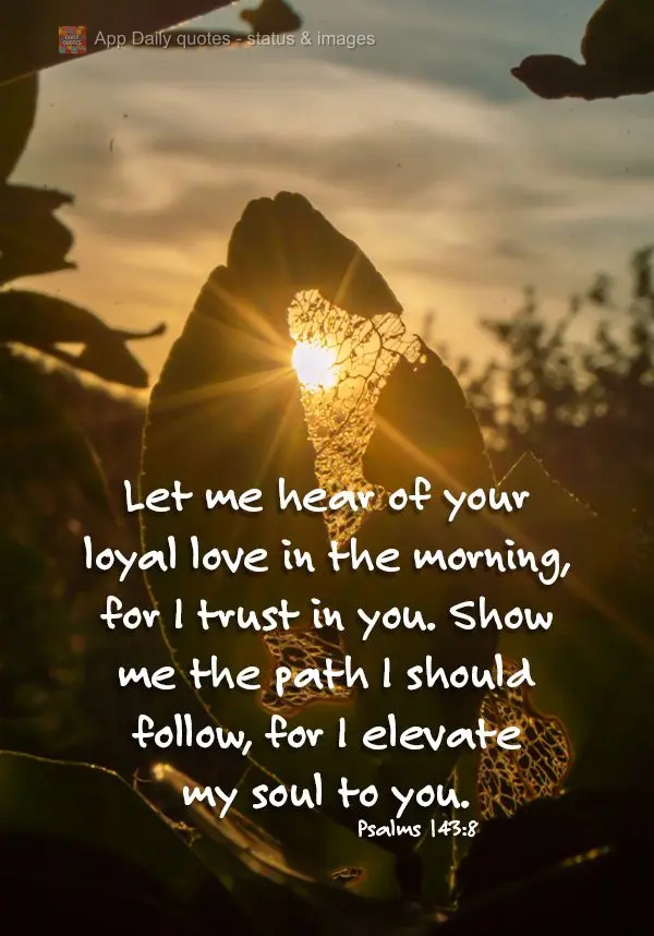 Let me hear of your loyal love in the morning, for I trust in you. Show me the path I should follow, for I elevate my soul to you. Psalms 143:8
