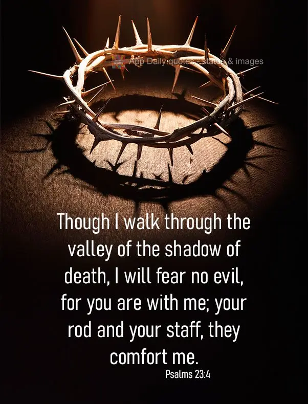 Though I walk through the valley of the shadow of death, I will fear no evil, for you are with me; your rod and your staff, they comfort me. Psalms 23:4...
