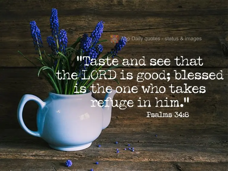 "Try it and see that the LORD is good; blessed is the one who takes refuge in him." Psalm 34:8