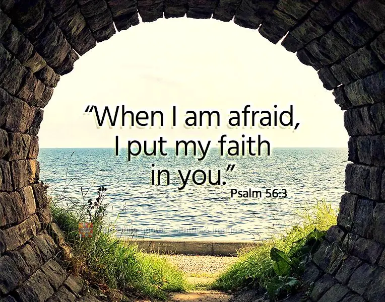 "When I am afraid, I put my faith in you." Psalm 56:3