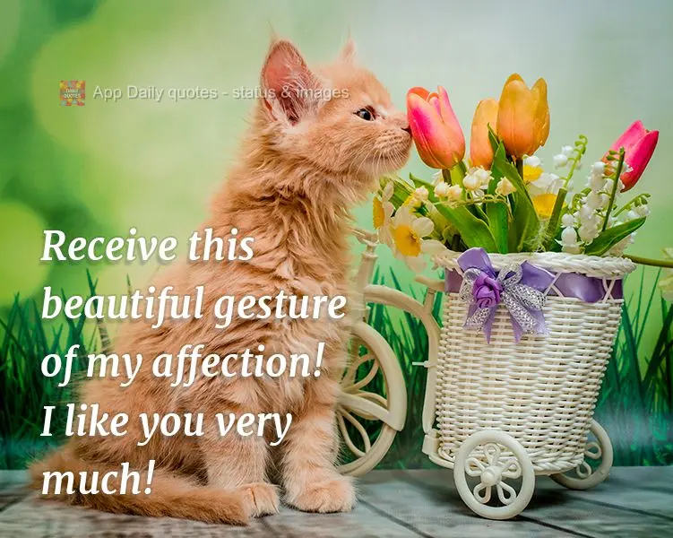 Receive this beautiful gesture of my affection! I like you very much!