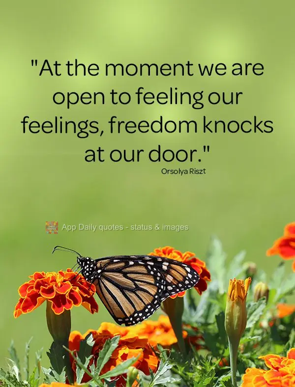 "At the moment we are open to feeling our feelings, freedom knocks at our door."  Orsolya Riszt