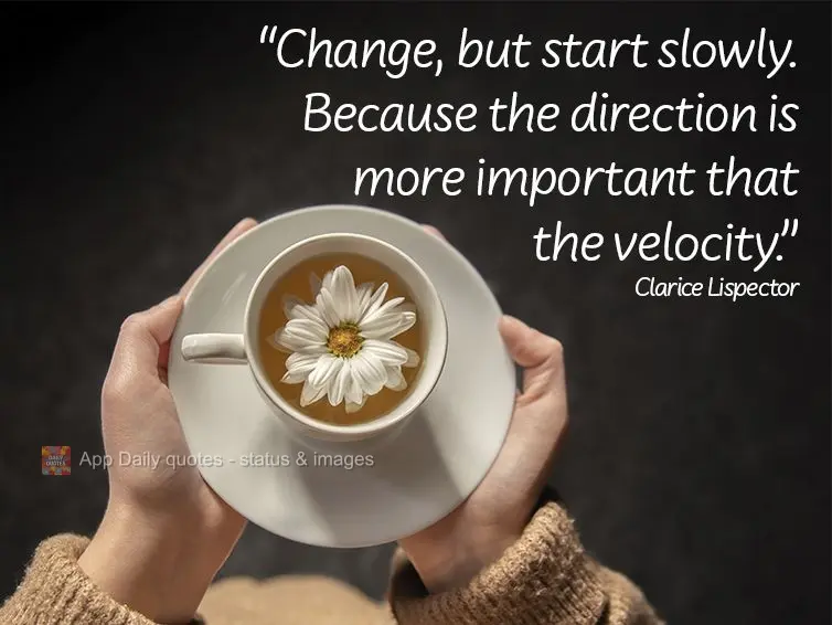 "Change, but start slowly - because the direction is more important that the velocity." Clarice Lispector