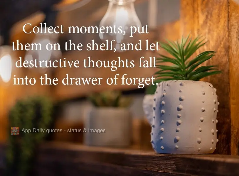 Collect moments, put them on the shelf, and let destructive thoughts fall into the drawer of forget.