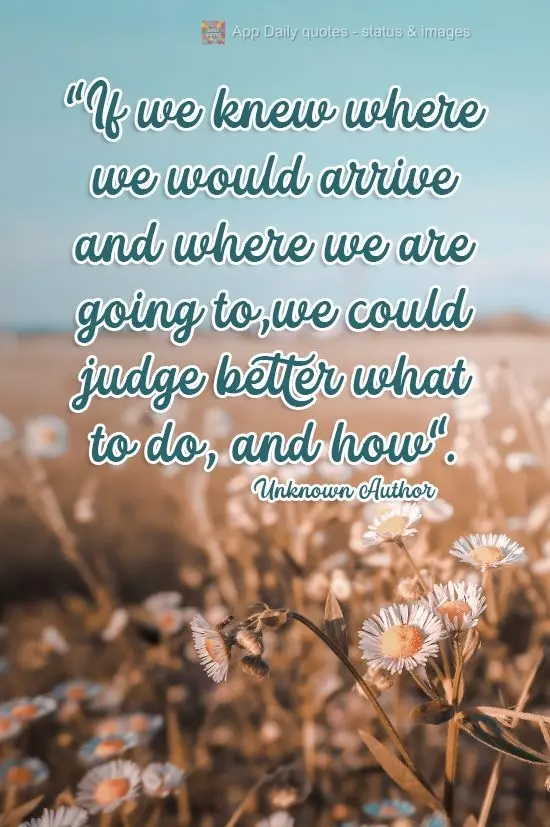 "If we knew where we would arrive and where we are going, we could judge better what we should do, and how". Unknown Author