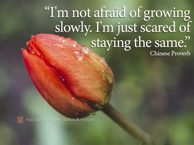 "I'm not afraid of growing slowly. I'm just scared of staying the same." Chinese Proverb