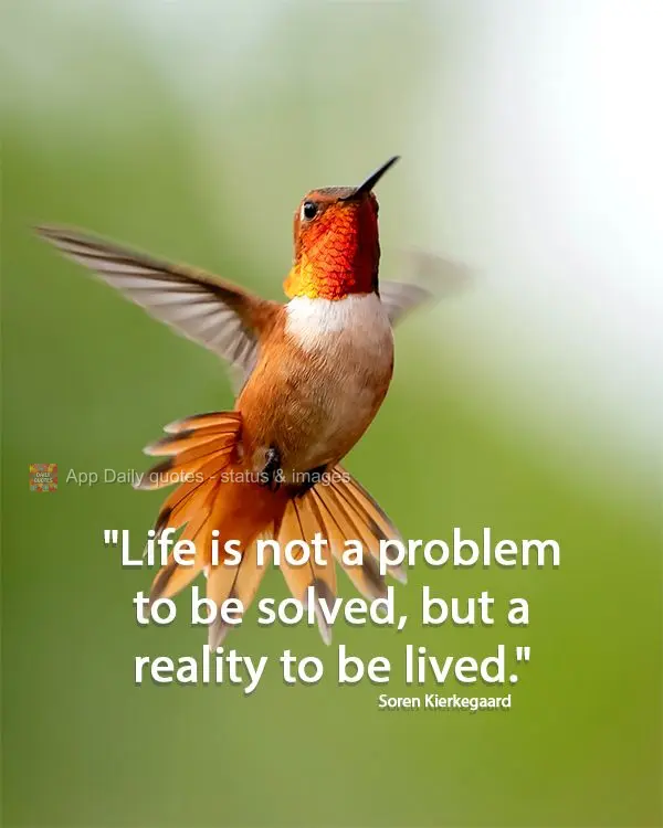 "Life is not a problem to be solved, but a reality to be lived." Soren Kierkegaard