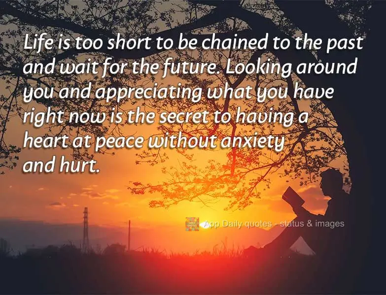 Life is too short to be chained to the past while waiting for the future. Looking around you and appreciating what you have right now is the secret to ha...