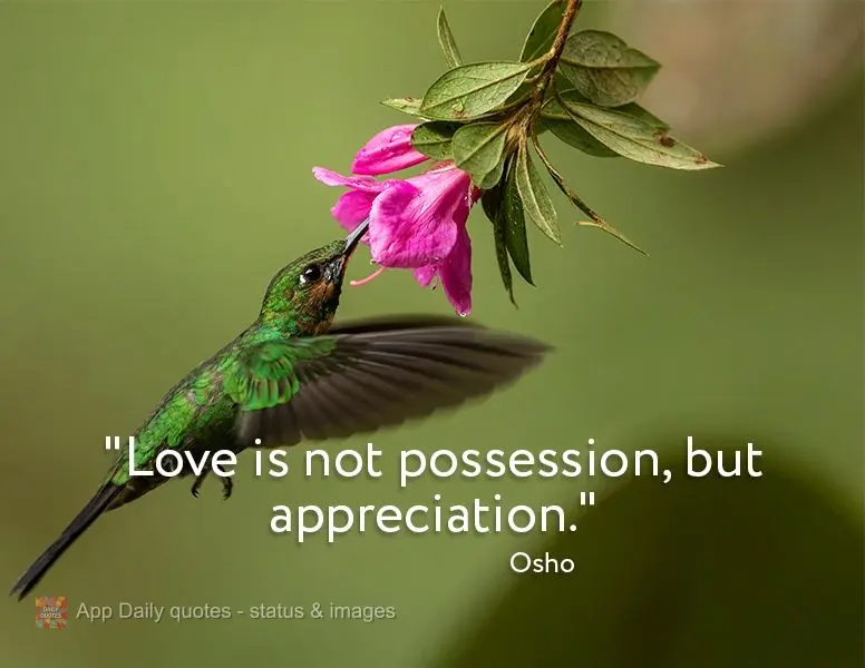 "Love is not possession, but appreciation." Osho