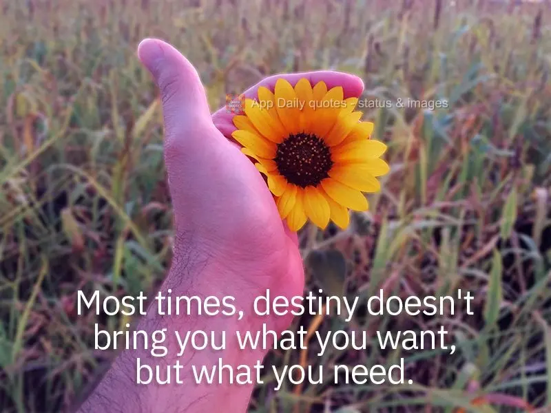 Most times, destiny doesn't bring you what you want, but what you need.