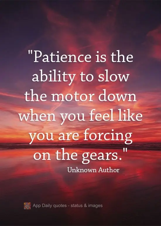 "Patience is the ability to slow the motor down when you feel like you are forcing the gears."  Unknown Author