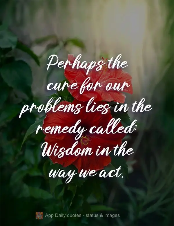 Perhaps the cure for our problems lies in the remedy called: Wisdom in the way we act.