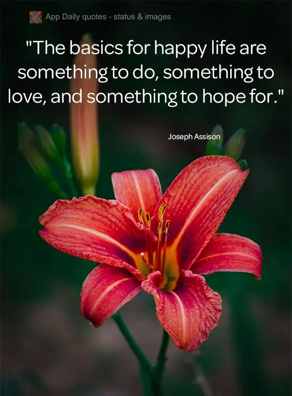 "The basics for happy life are something to do, something to love, and something to hope for."
 Joseph Assison