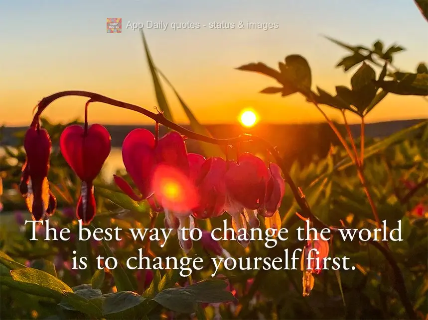 The best way to change the world is to change yourself first.