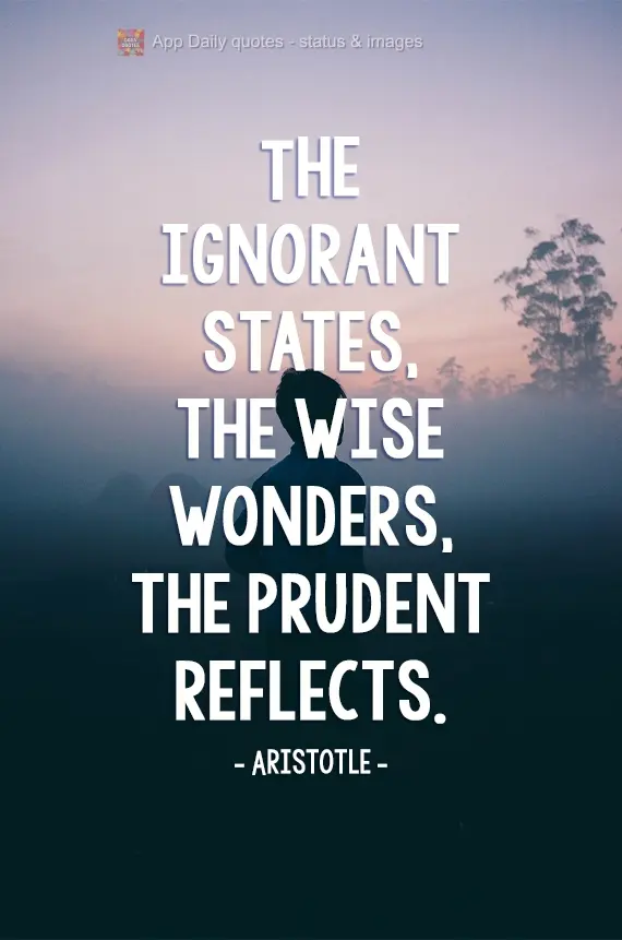 The ignorant person affirms, the wise person doubts, the sensible person reflects. Aristotle