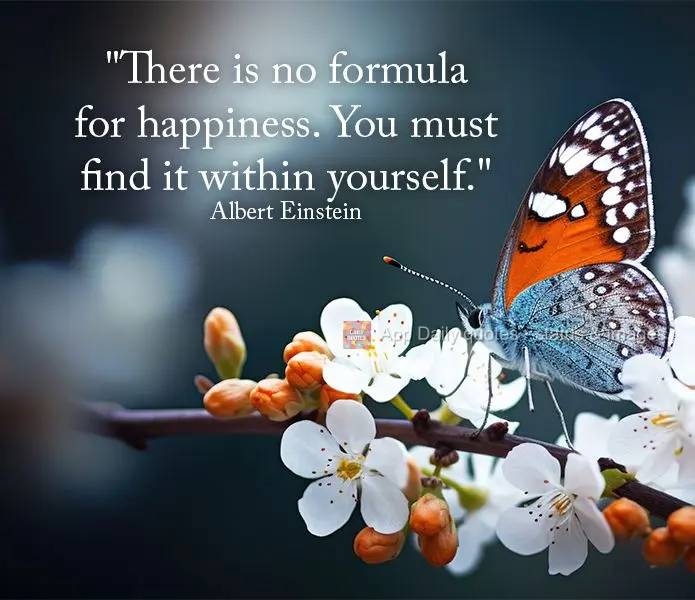 "There is no formula for happiness. You must find it within yourself." Albert Einstein