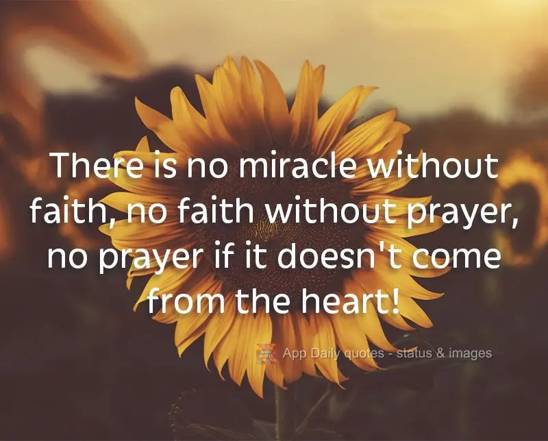 There is no miracle without faith, no faith without prayer, no prayer if it doesn't come from the heart!