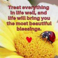 Treat everything in life well, and life will bring you the most beautiful blessings.