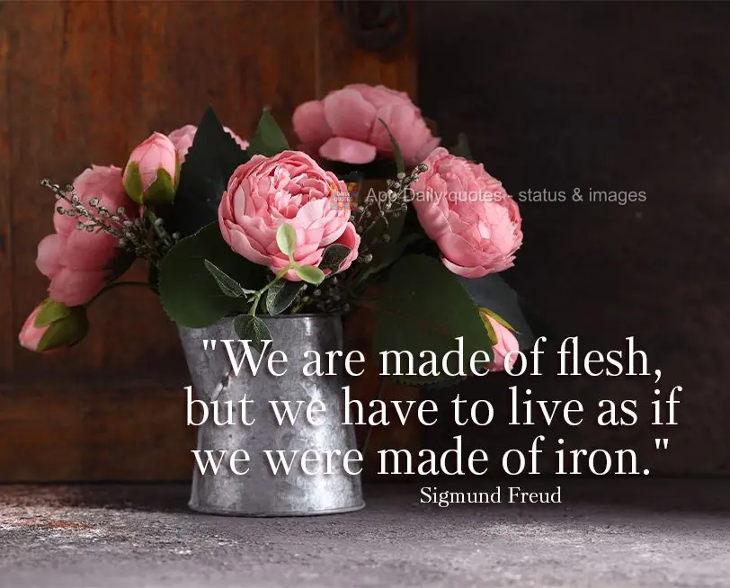 "We are made of flesh, but we have to live as if we were made of iron." Sigmund Freud