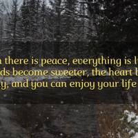 When there is peace, everything is lighter, words become sweeter, the heart beats calmly, and you can enjoy your life more.