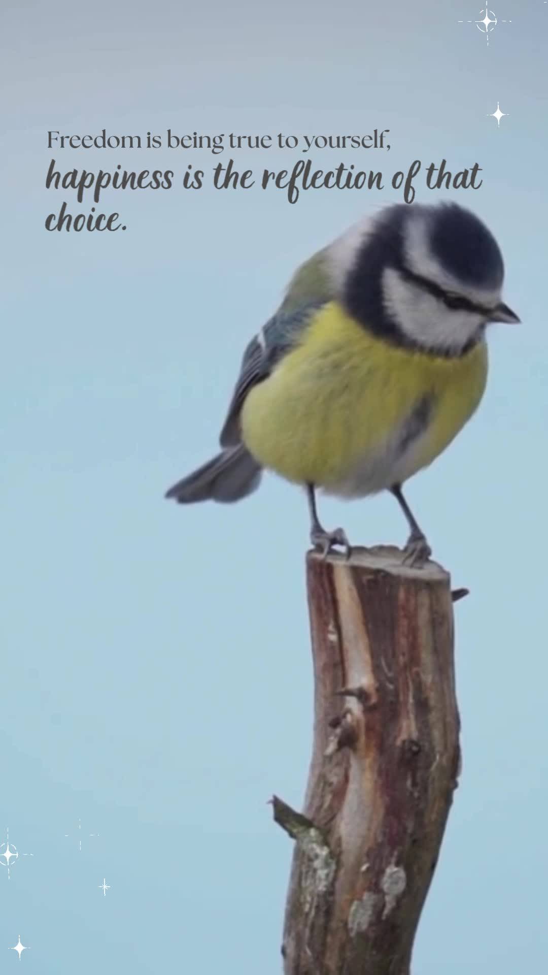 Liberdade é ser fiel a si mesmo,
felicidade é o reflexo dessa escolha.