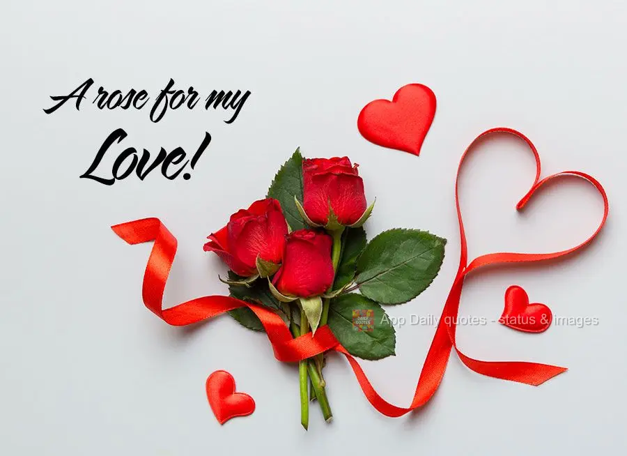 A rose for the love of my life!