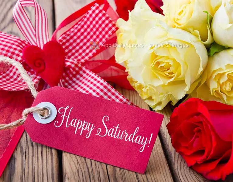 Happy Saturday!