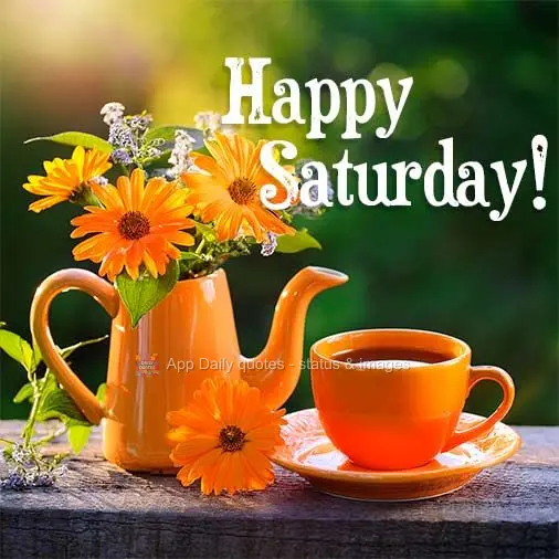 Happy Saturday!