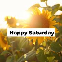 Happy Saturday!